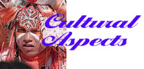 Cultural Aspects of Translation